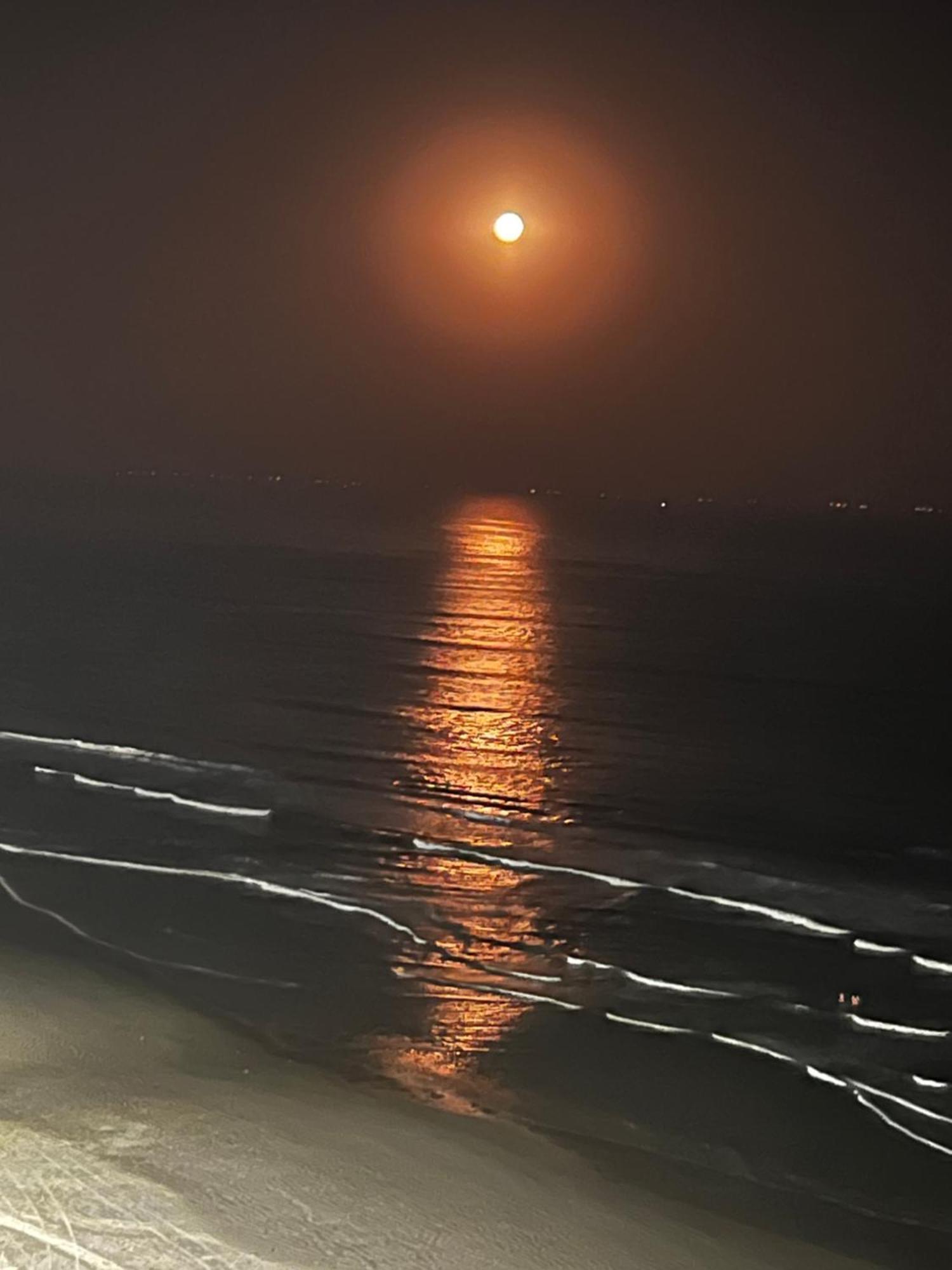 Pousada Flor De Maraca Pôrto das Galinhas Dış mekan fotoğraf