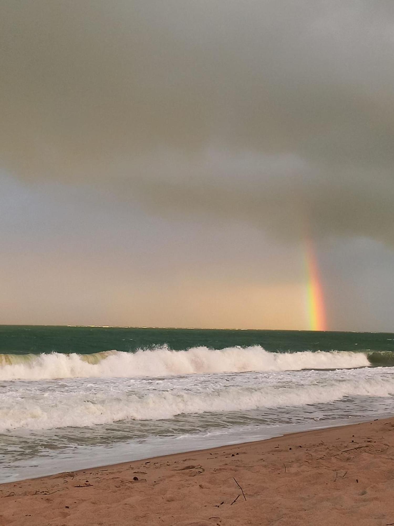 Pousada Flor De Maraca Pôrto das Galinhas Dış mekan fotoğraf