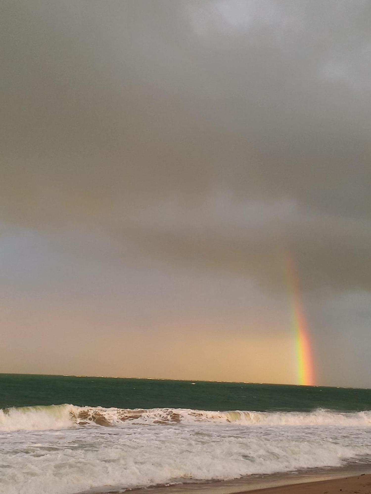 Pousada Flor De Maraca Pôrto das Galinhas Dış mekan fotoğraf