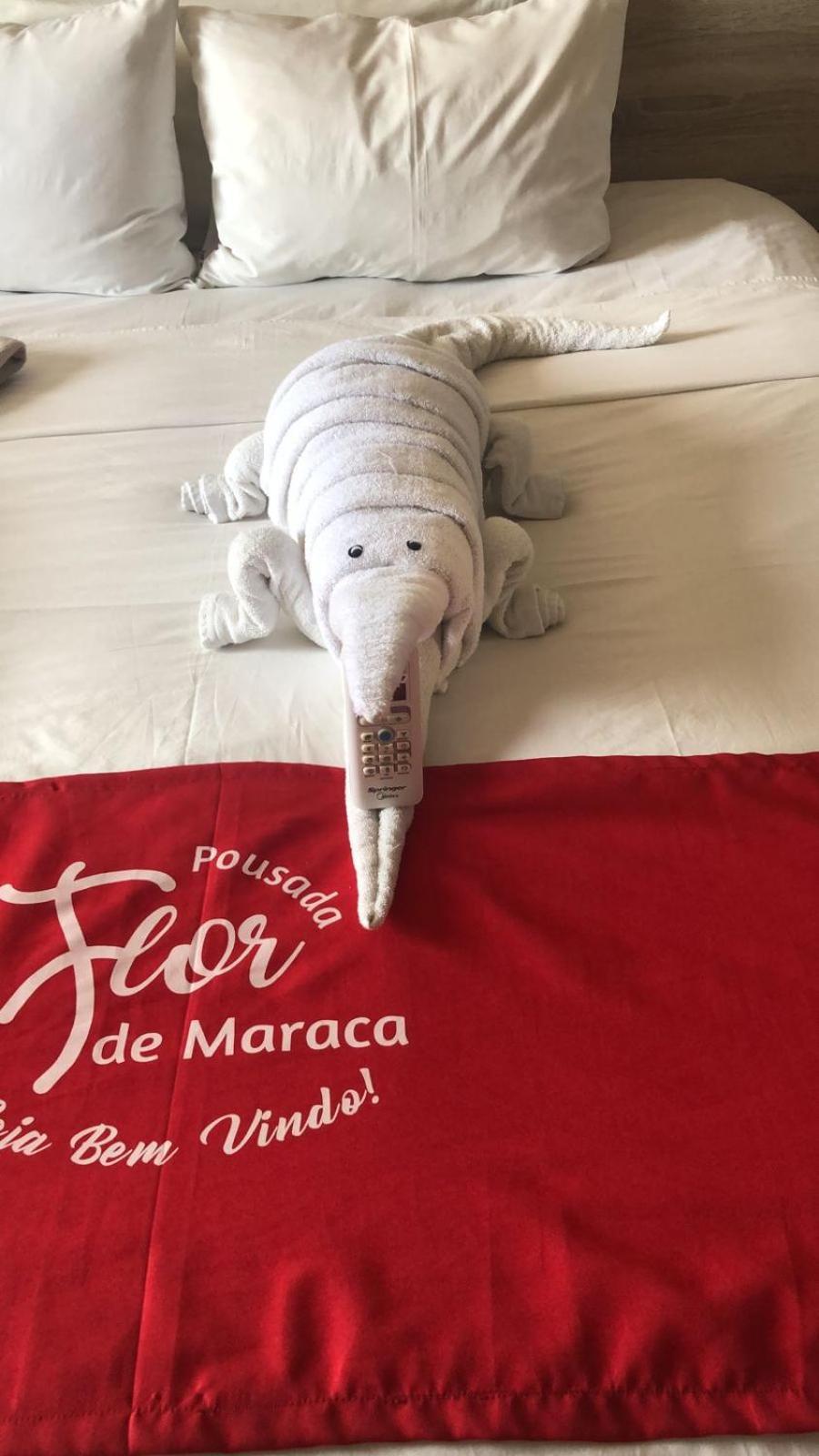 Pousada Flor De Maraca Pôrto das Galinhas Dış mekan fotoğraf